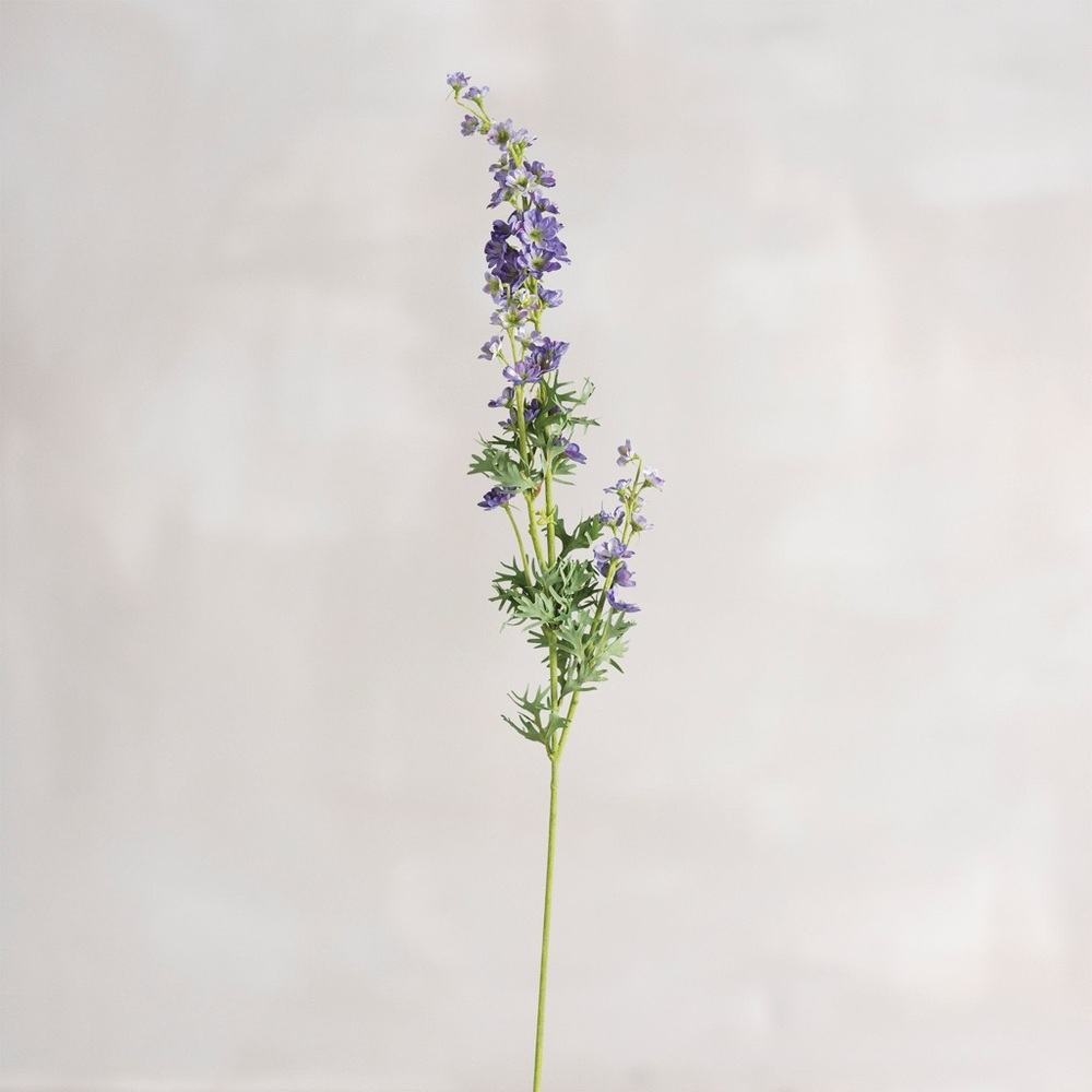 Blue Delphinium - Long Stem Pick